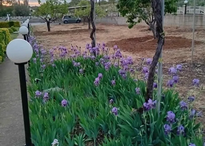 Luxury Ntina Holiday home Maroneia (Rhodope)